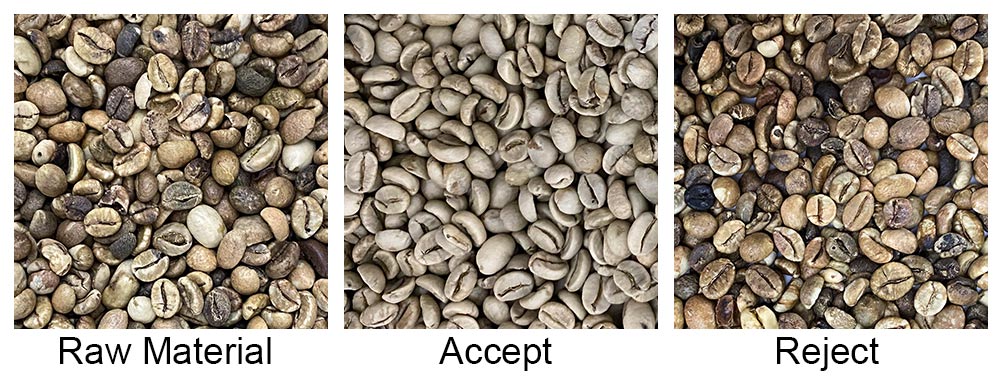 amd selezionatrice per chicchi di caffè