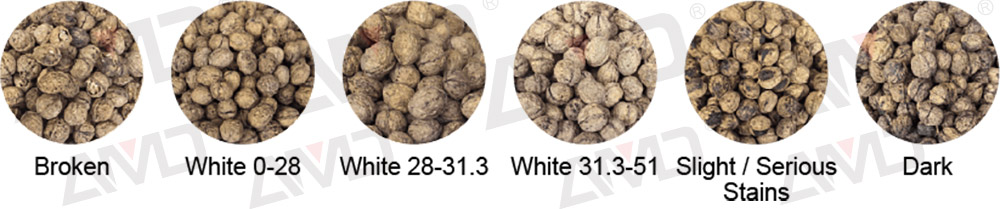 Inshell Walnut Grading Machine