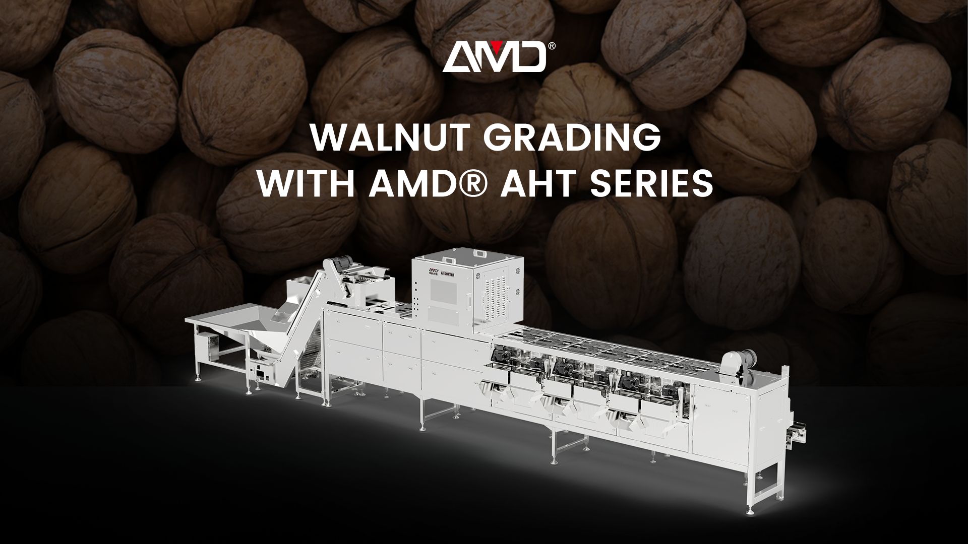 AMD® Serie AHT | Macchina per la calibratura delle noci in guscio