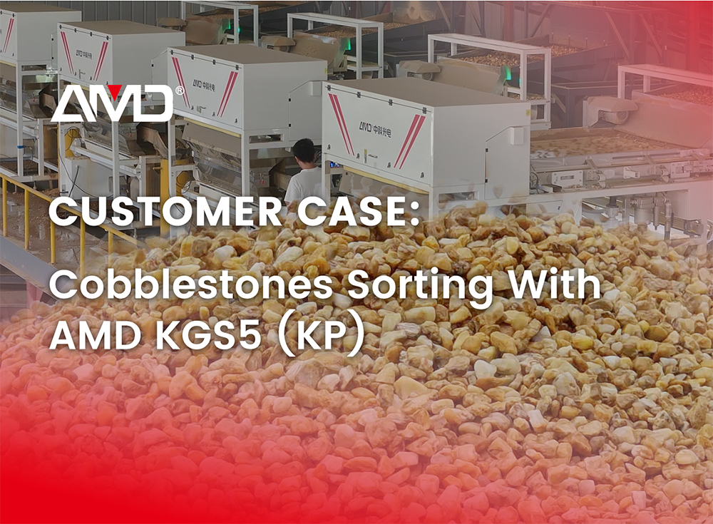 Caso di studio della selezione di ciottoli AMD® KGS5 (KP)