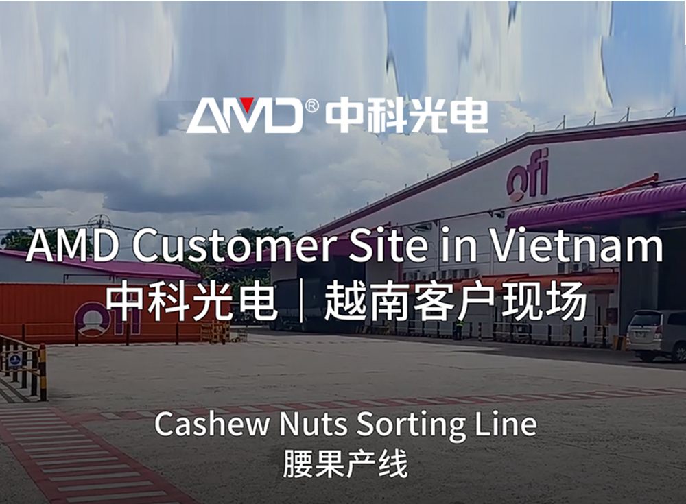Il trasformatore di anacardi in Vietnam migliora la produzione con la tecnologia di selezione AMD®