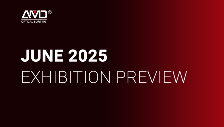 Incontra AMD SORTING alle Global Exhibitions di giugno 2025